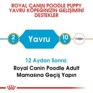 Royal Canin Poodle Junior Yavru Köpek Maması 3 Kg.