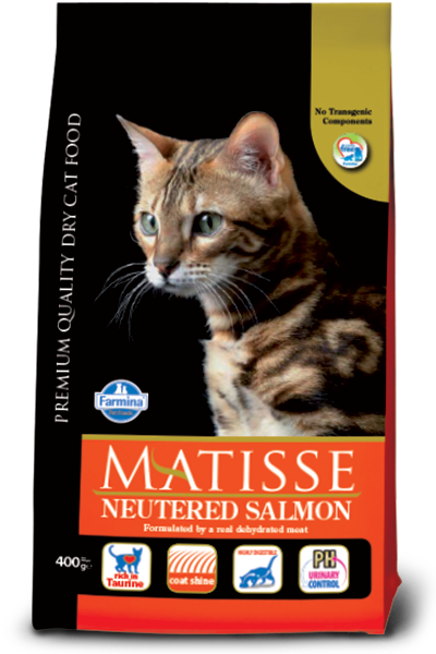Matisse Kısırlaştırılmış Somonlu Yetişkin Kedi Maması 10 Kg