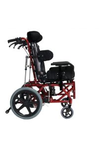 P958y Yetişkin Spastik Sandalyesi
