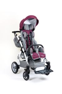 Grizzly Engelli Çocuk Puseti Full Aksesuarlı Gri-Bordo 2