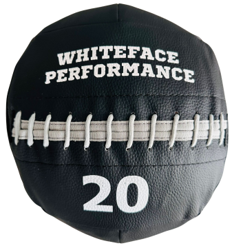 Whiteface Wallball Pu Deri Sağlık Topu (20 kg)