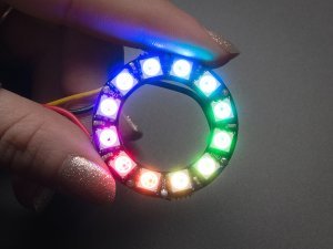 NeoPixel 12'li Halka