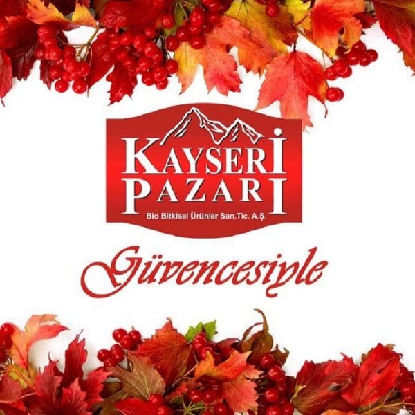 Gilaburu Suyu 20 Gün Kullanım 1000ML 12 Şişe 12000 ML ŞEKERSİZ
