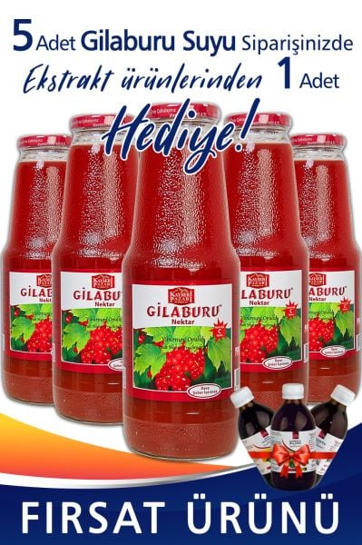 Gilaburu Suyu Nektarı 5 Adet 1000ml Cam Şişe Şeker İlavesiz