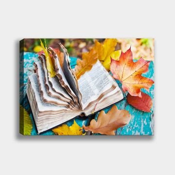 Kitap Dekoratif Kanvas Tablo