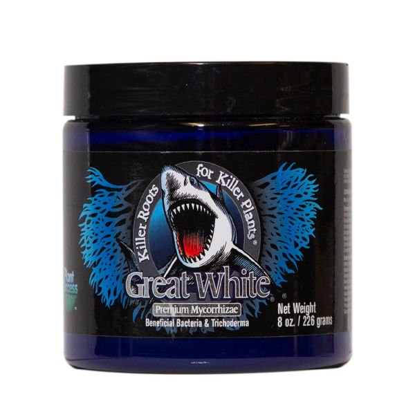 Great White Premium 226 g - Toz Mikoriza