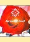 NUR'DAN BİR DEMET (CD)