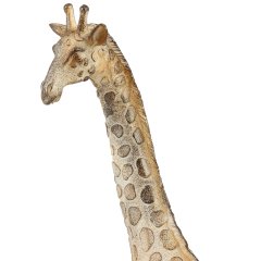 Anne zürafa biblo