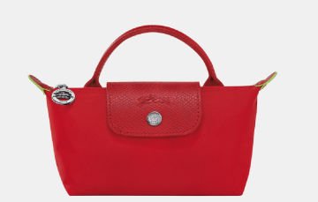 Longchamp Pouch