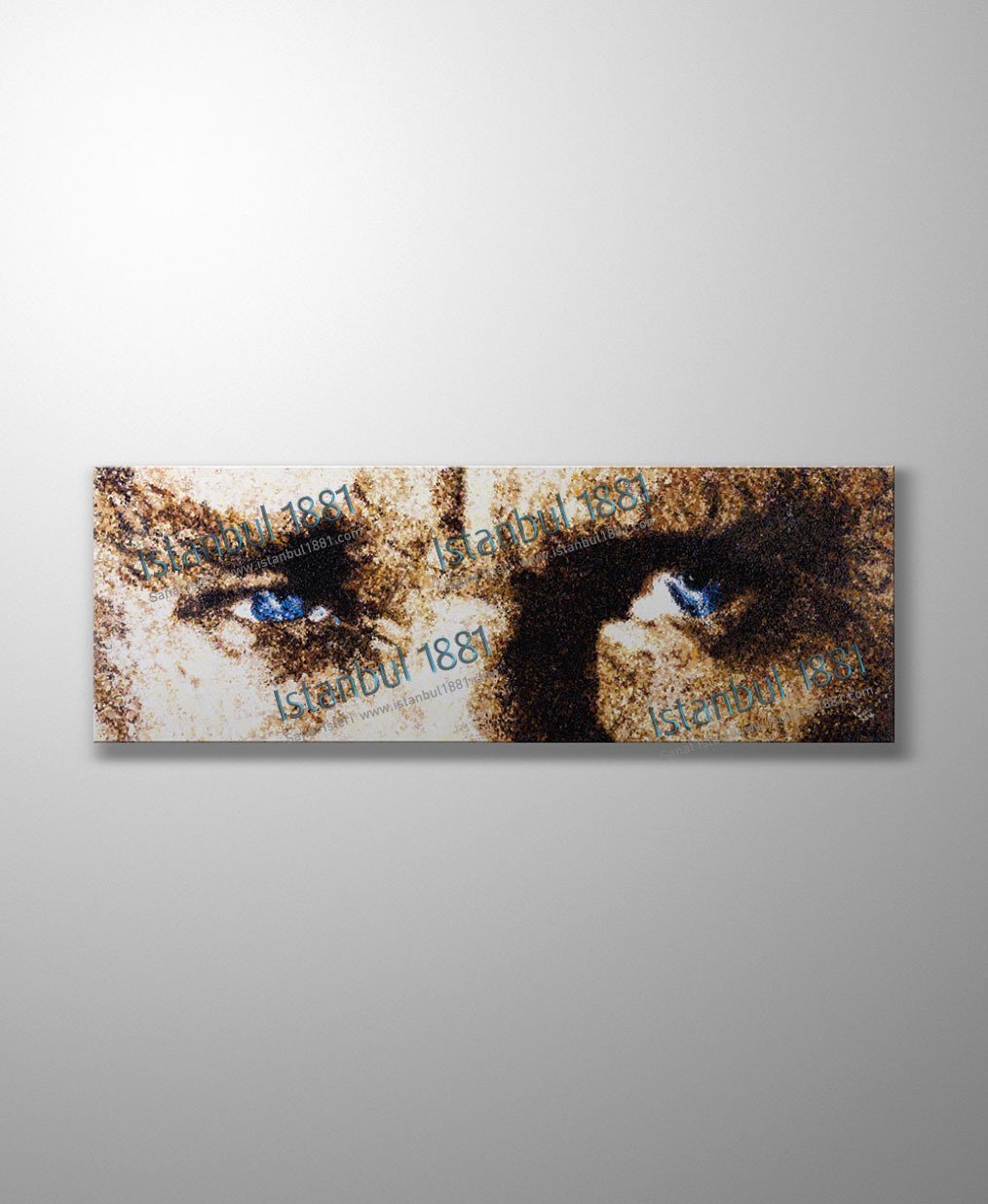 Atatürk Kanvas Tablo - Atatürk'ün Gözleri