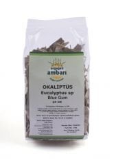 Okaliptüs - 60 gr.