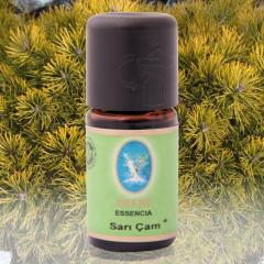 Sarı Çam organik 5ml görseli.