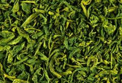 Yeşil Çay 100 gr