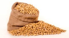 Soya Fasülyesi (GDO suz Yerli Üretim) 1 kg görseli.