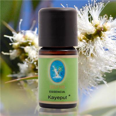 Kayeput Yağı  Organik 5 ml