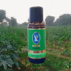 ORGANİK HİNT YAĞI 250 ml