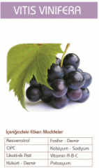 Siyah Üzüm Çekirdeği Ekstraktı 250ml