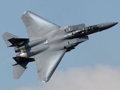 1/144 F-15J EAGLE DML NO:4519