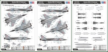 1/48 Russian MIG-31 Foxhound