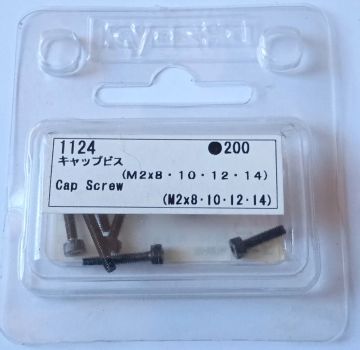 1124 Kapak Vidası (M2x8, 10, 12, 14) RC Model