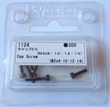 1124 Kapak Vidası (M2x8, 10, 12, 14) RC Model