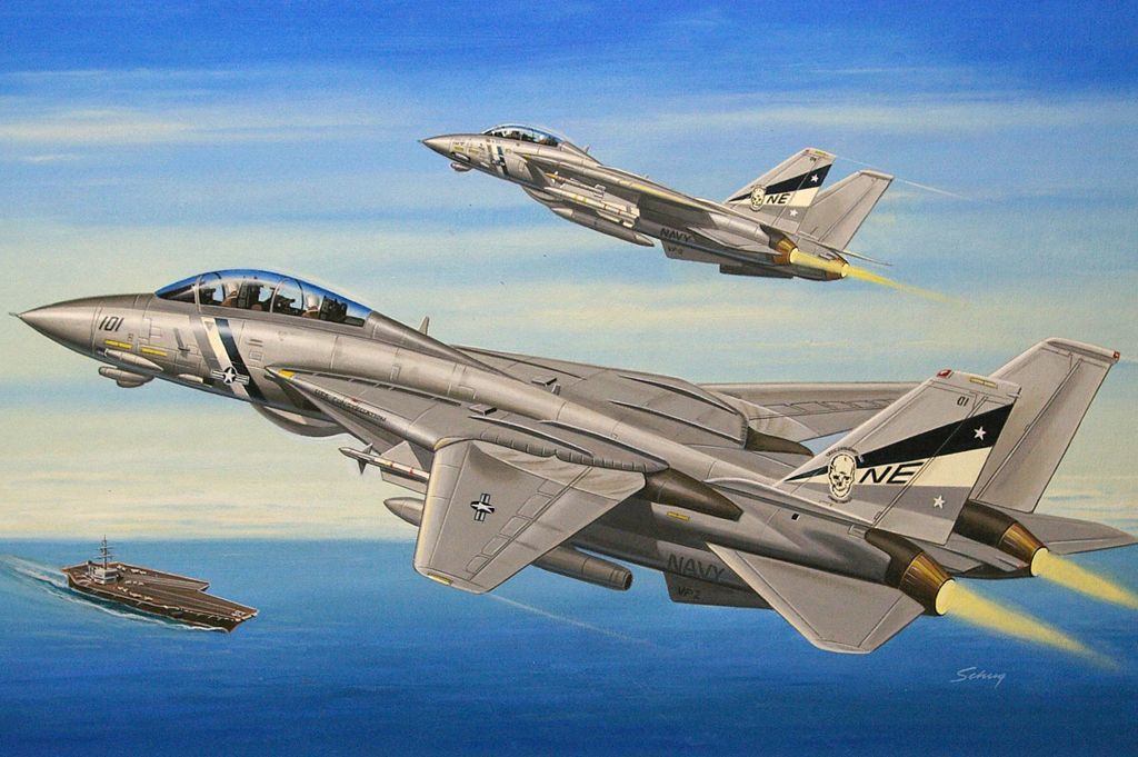 1/72 F-14D Super Tomcat