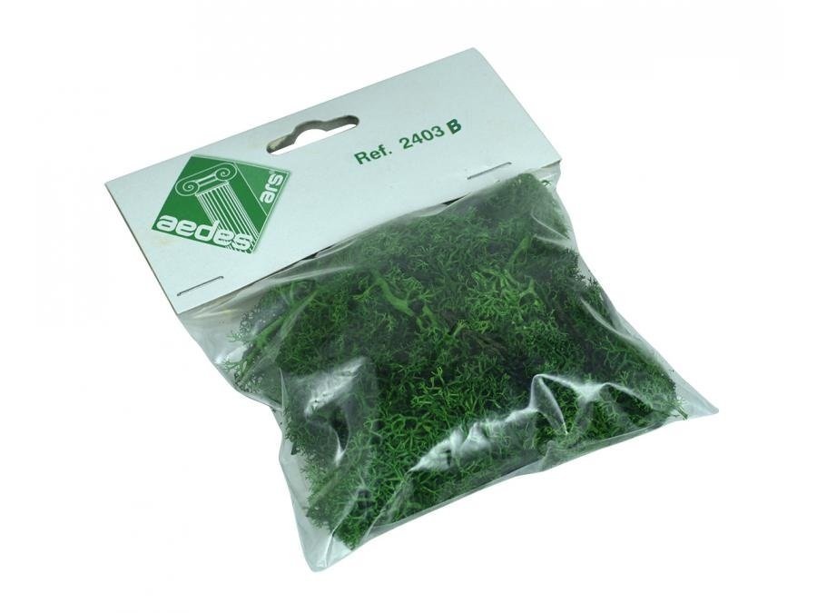 Musco Verde (Koyu Yeşil Bitki) 25gr.