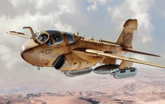 1/48 EA-6B Prowler