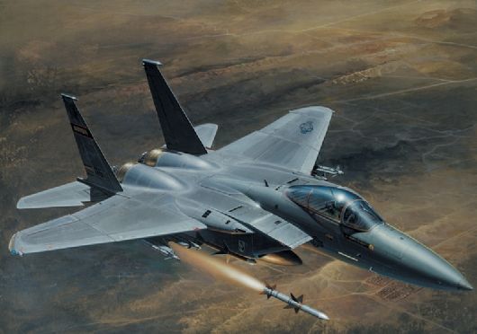 1/48 F-15C Eagle