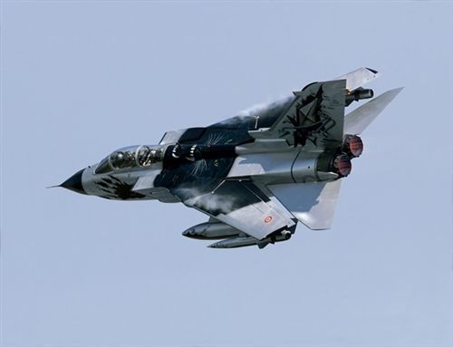 1/72 TORNADO IDS BLACK PANTHERS SP.COL.