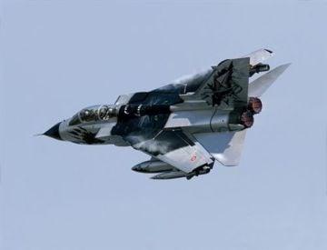 1/72 TORNADO IDS BLACK PANTHERS SP.COL.