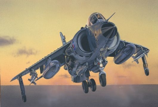 1/72 Sea Hrrier FRS.1 ITALERI