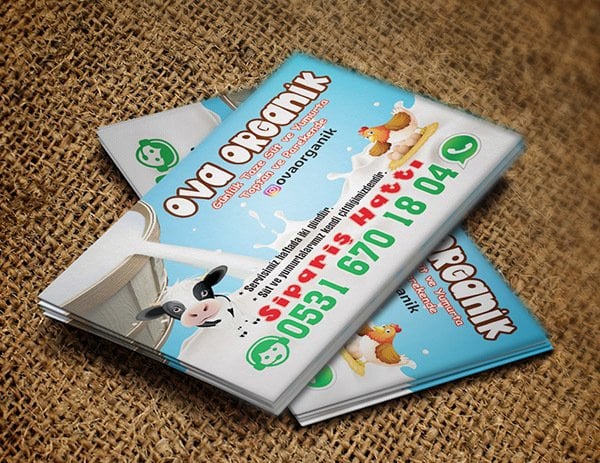 Organik Sütçü Magnet Ücretsiz Gönderim