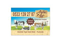 Sütcü Şekilli Magnet Baskı Ücretsiz Gönderim