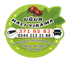 Halı Yıkama Şekilli Magnet Ücretsiz Gönderim.