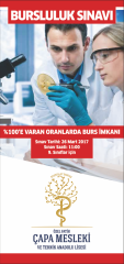 A7 - 10x20cm  / Tek Taraflı El ilanı