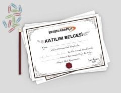 Sertifika / Diploma