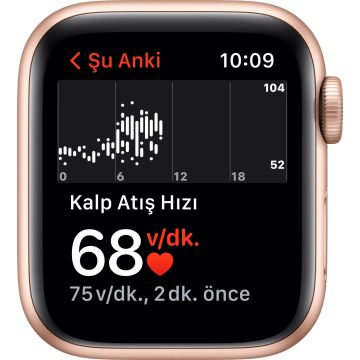 Apple Watch SE GPS 40mm Altın Rengi Alüminyum Kasa ve Spor Kordon Akıllı Saat