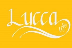 Decowall Lucca Duvar Kağıdı Kartelası