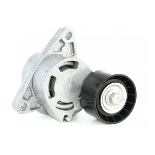 Renault Master 2 Alternatör Gergi Rulmanı 8200761529