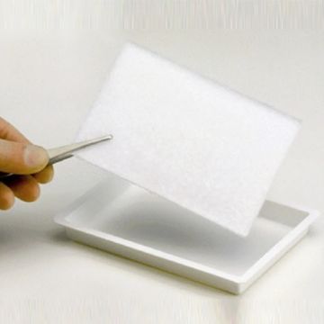 Suprasorb C Kollajen Yara Dolgu Örtüsü 8x12 cm