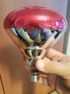 Osram Ledvance İnfrared Lamba 250W E27 Kırmızı İnfraruj Ampul