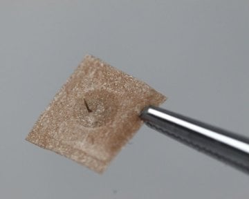 Shenlong Press Needle Kalıcı Kulak İğnesi 100 adet