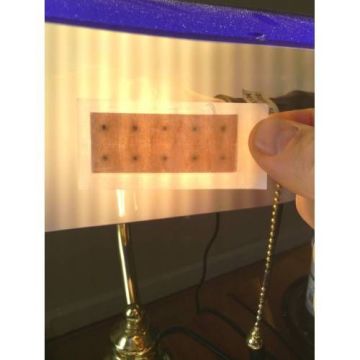 Kalıcı Kulak İğnesi + Manyetik Bilye 100'er adet