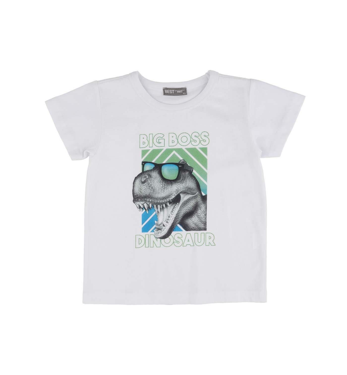ERKEK ÇOCUK BASKILI T-SHIRT