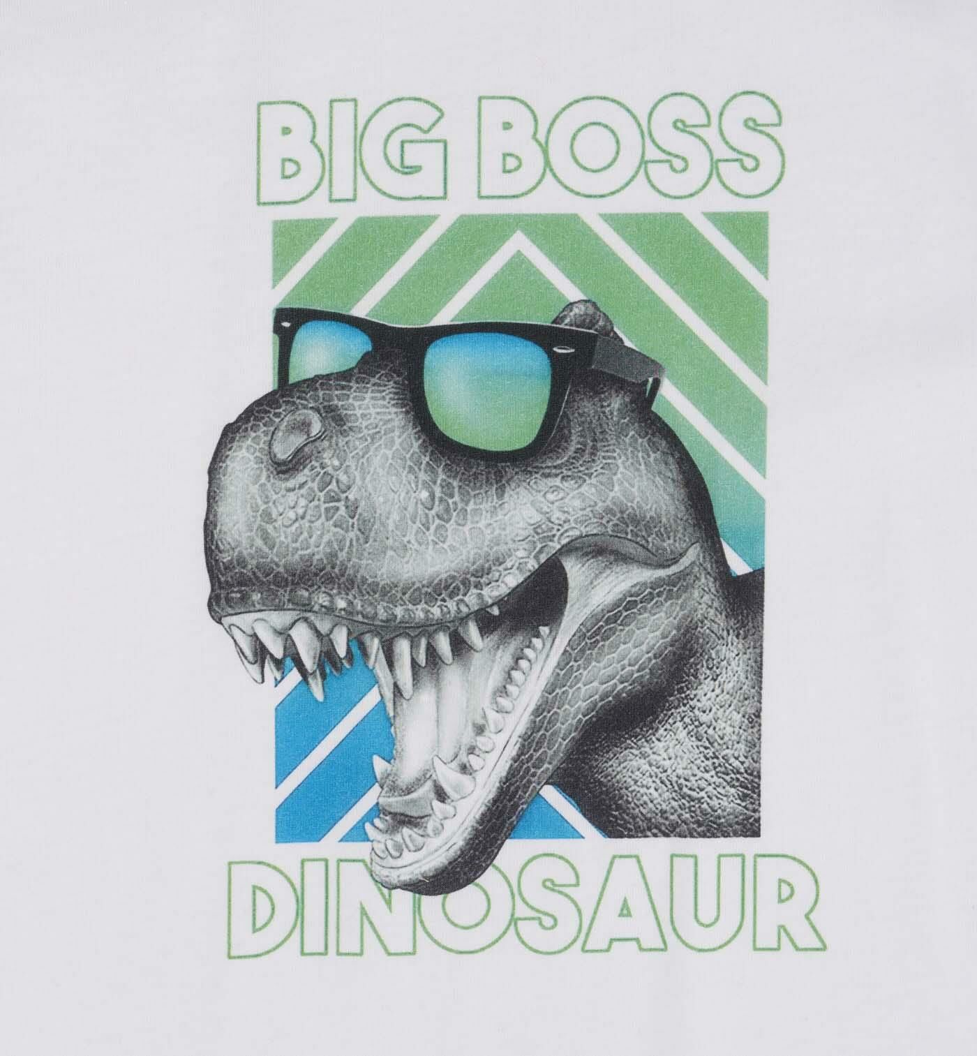 ERKEK ÇOCUK BASKILI T-SHIRT