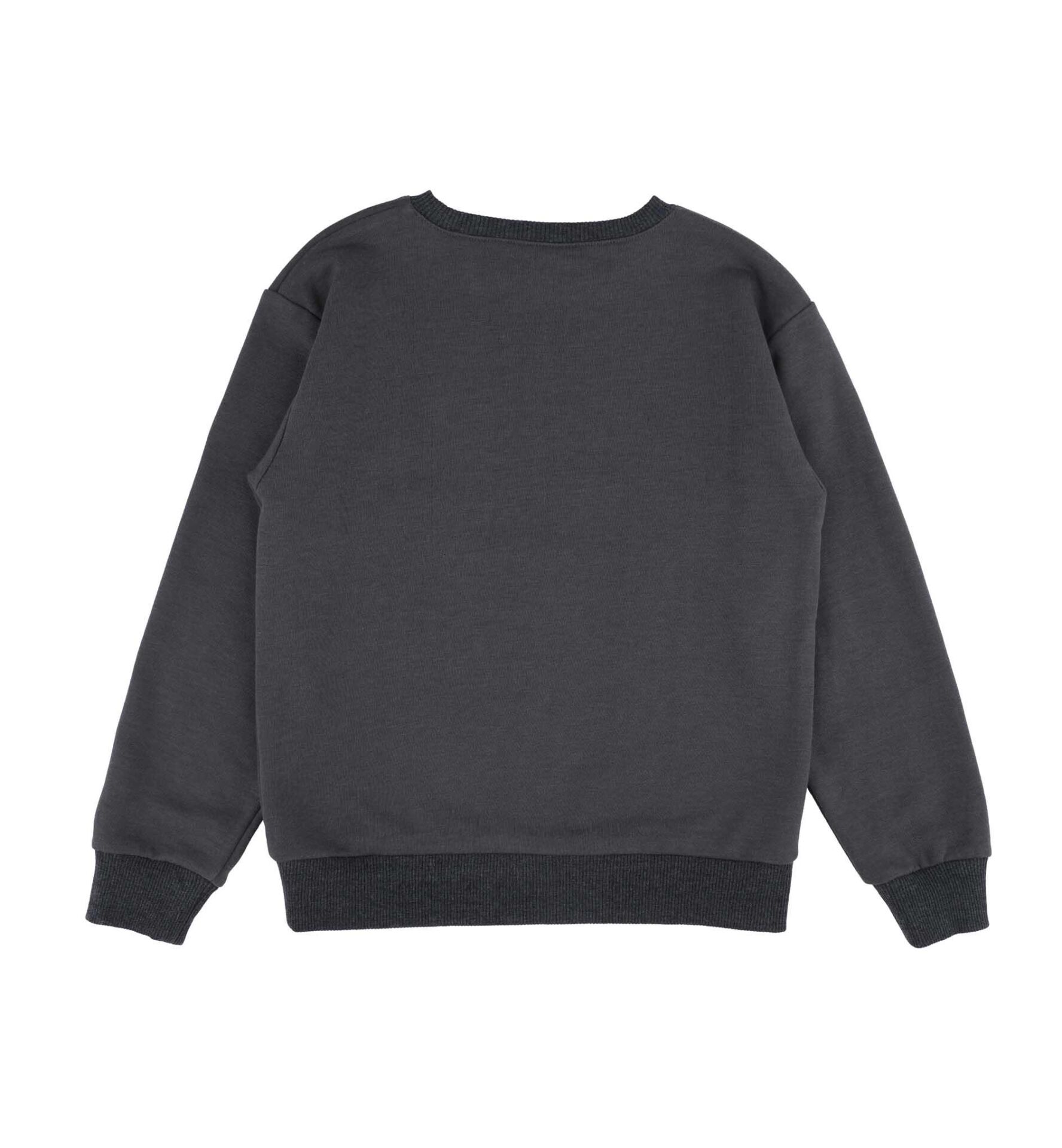ERKEK ÇOCUK BASKILI SWEATSHIRT
