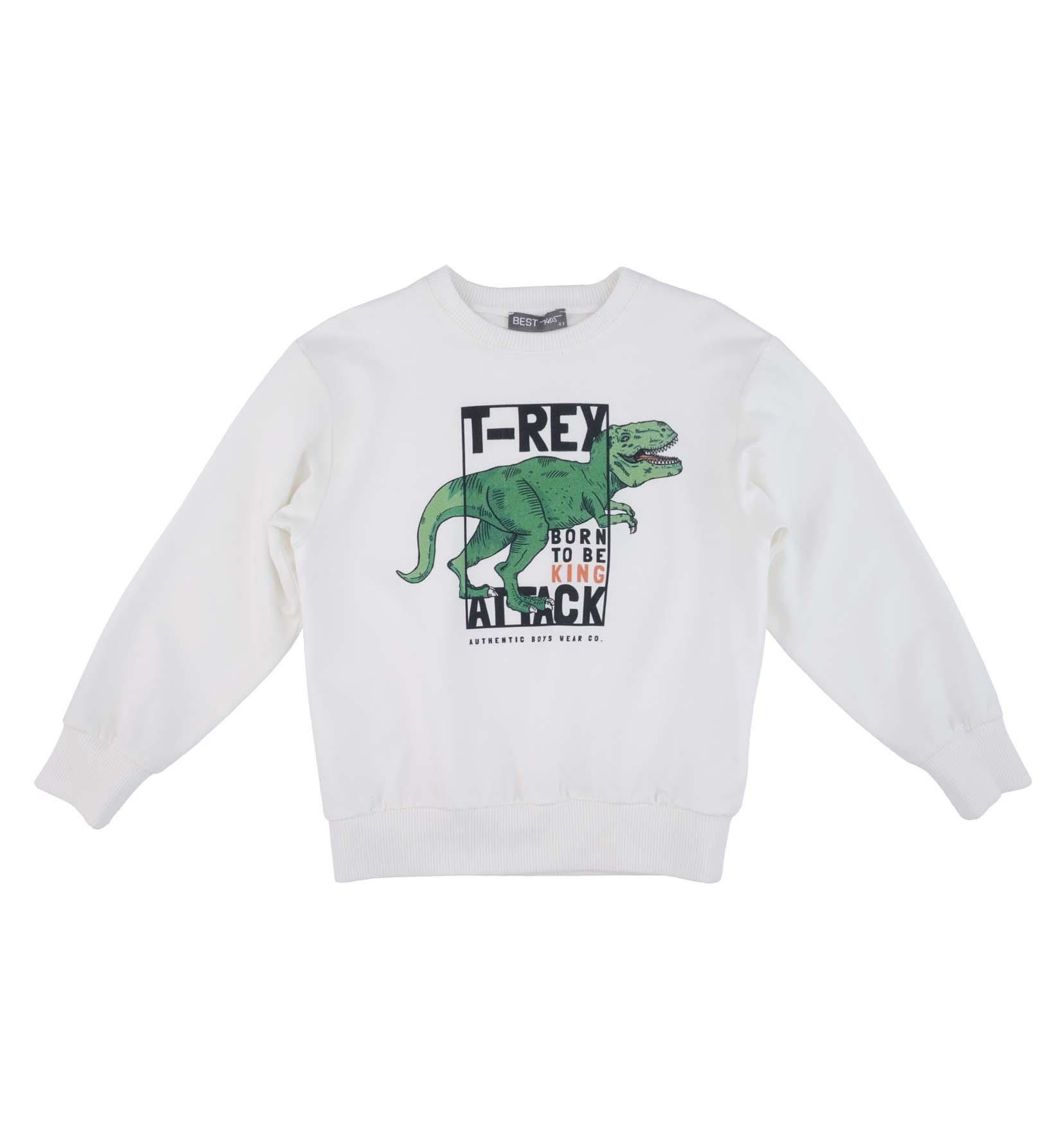 ERKEK ÇOCUK SWEATSHIRT