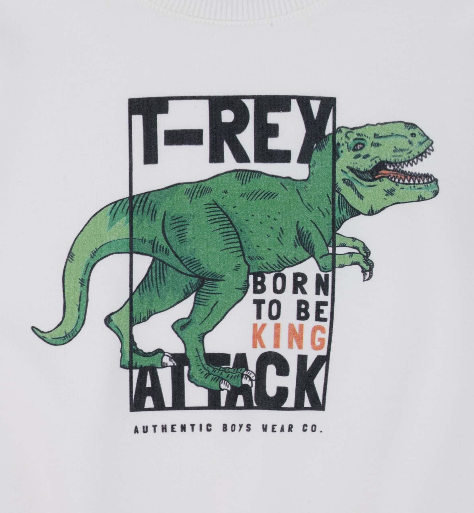 ERKEK ÇOCUK SWEATSHIRT