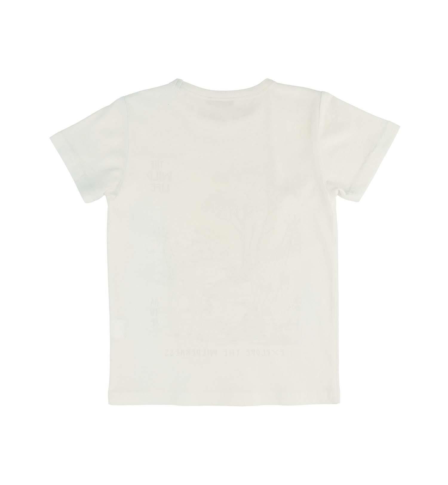 ERKEK ÇOCUK BASKILI T-SHIRT